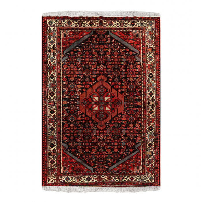 Hamadan wool Persian Rug 6'8" X 10'40" ITEM# 219