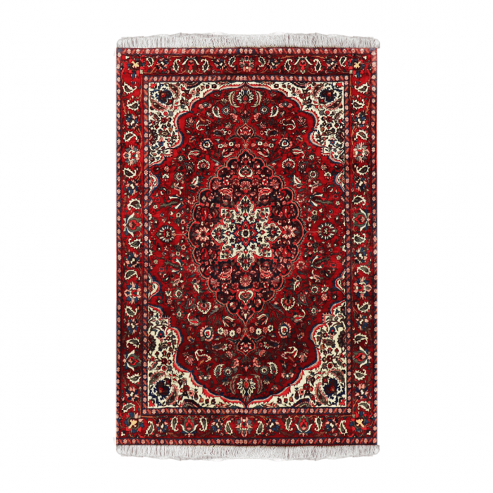 Sarouk Wool Persian Rug 6'9" x 10'6" ITEM# 311