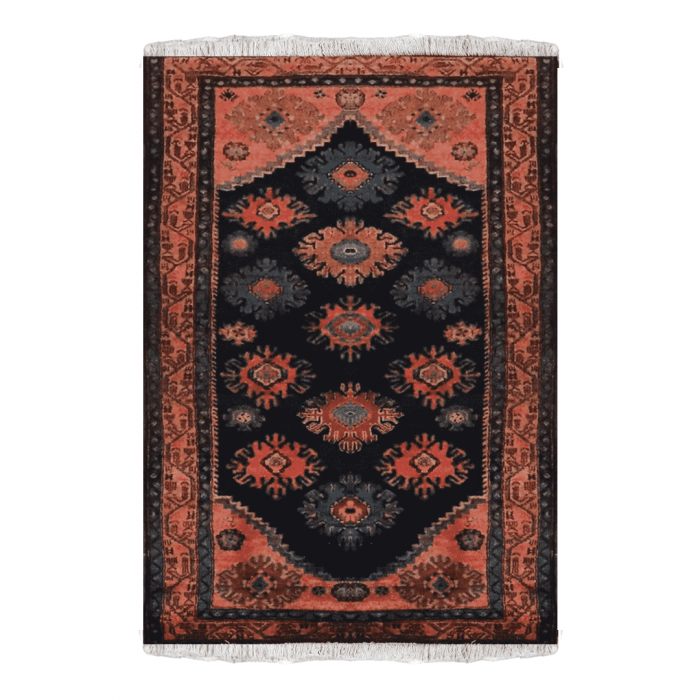 Hamadan Wool Persian Rug 3'7" X 6'2" ITEM# 480