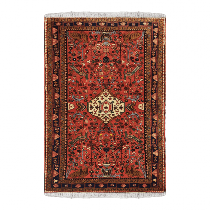 Rust Hamedan Rug 4'8" x 7'9" ITEM# 540
