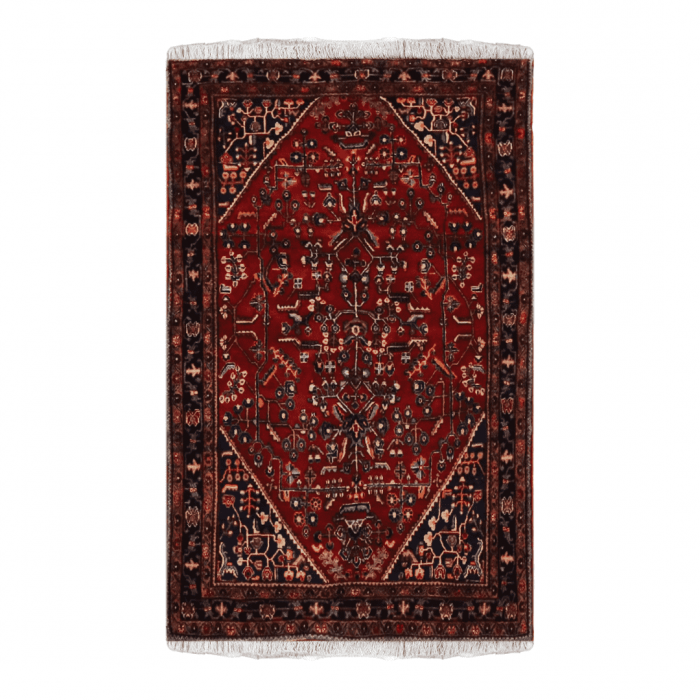 Hamadan Wool Persian Rug 4'8" X 7'5" ITEM# 571