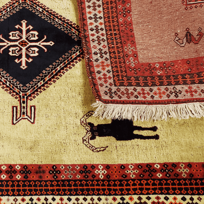 Shiraz Wool Persian Rug 3'9" x 6'2" ITEM# 606
