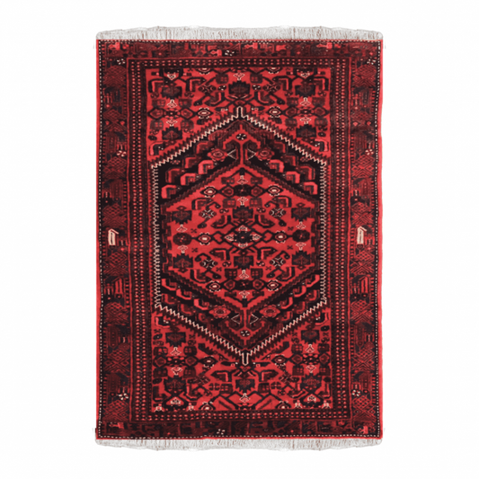 Hamadan Wool Persian Rug 4'8" X 7'  ITEM# 507