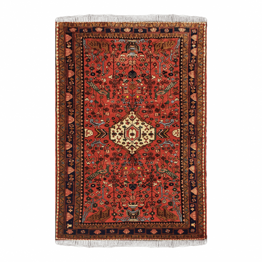 Rust Hamedan Rug 4'8" x 7'9"  ITEM# 540