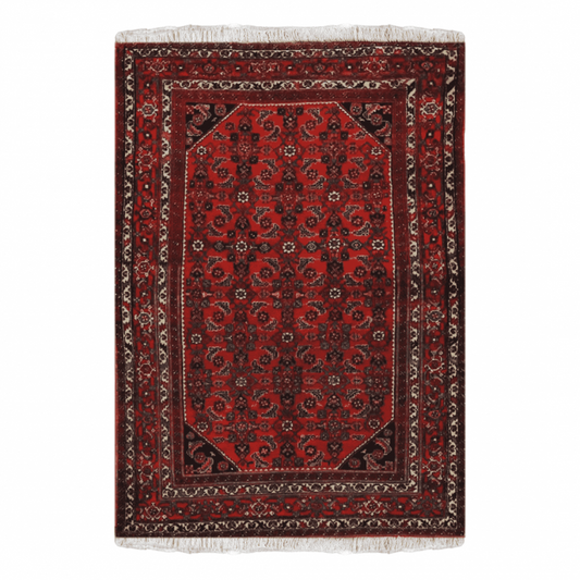 Hamadan Wool Persian Rug 4'9" X 6'5"  ITEM# 573