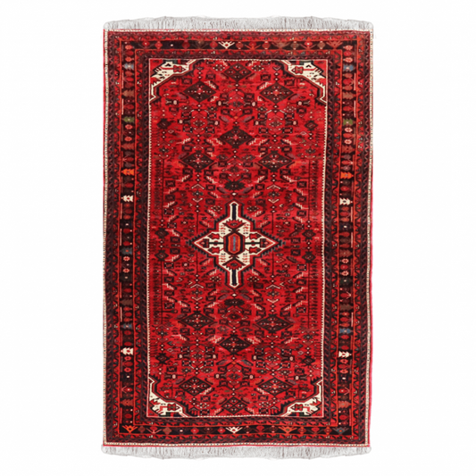 Hossenabad Wool Persian Rug 5'4" x 9'8"  ITEM# 801